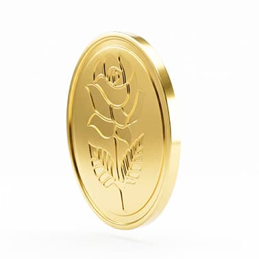 Coin - 22K (Rose) 2