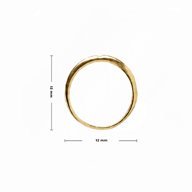 Net Ring 3